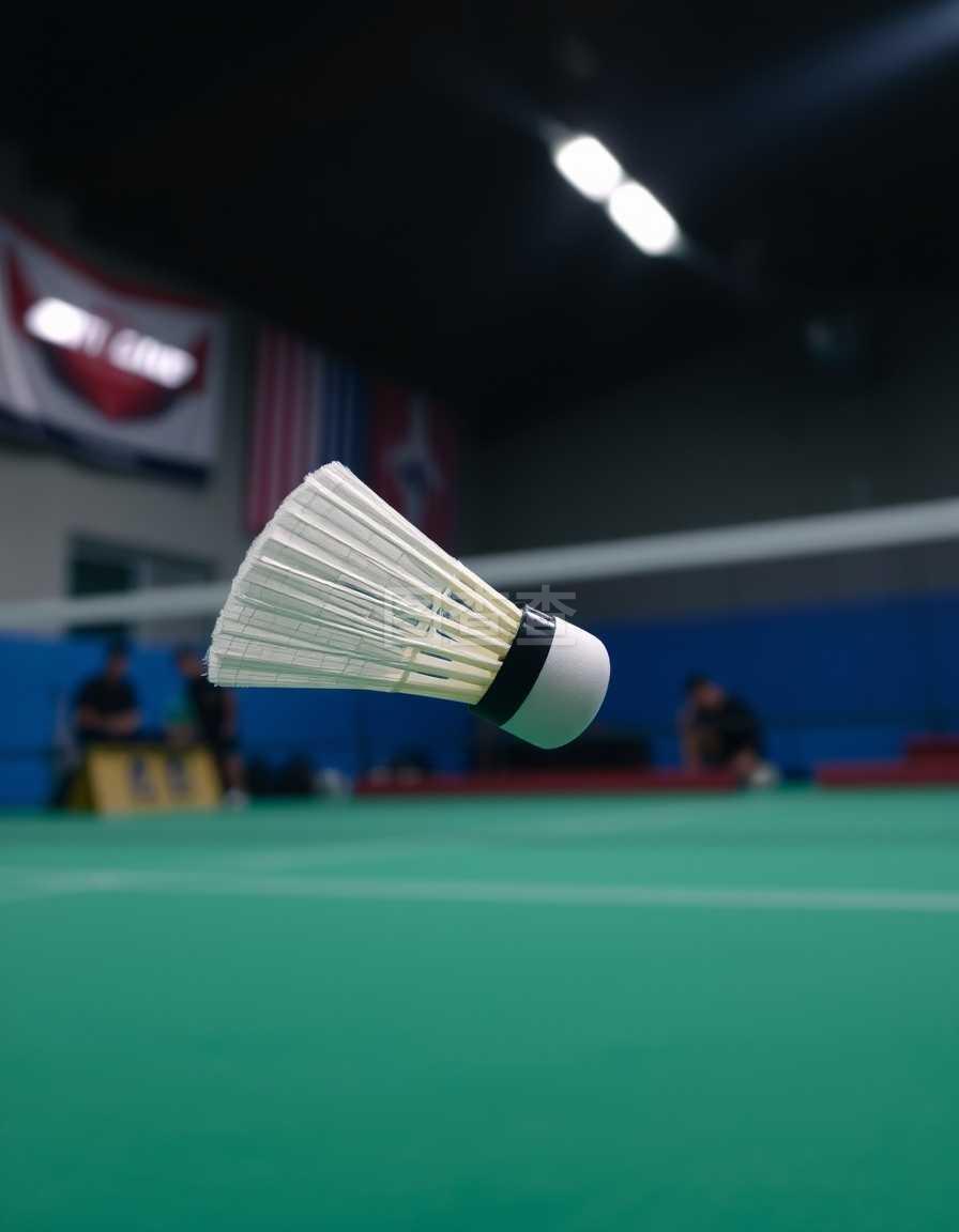 获公平竞赛 获公平竞赛