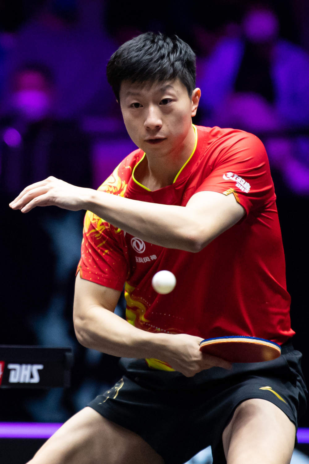 以不屈的斗 以不屈的斗