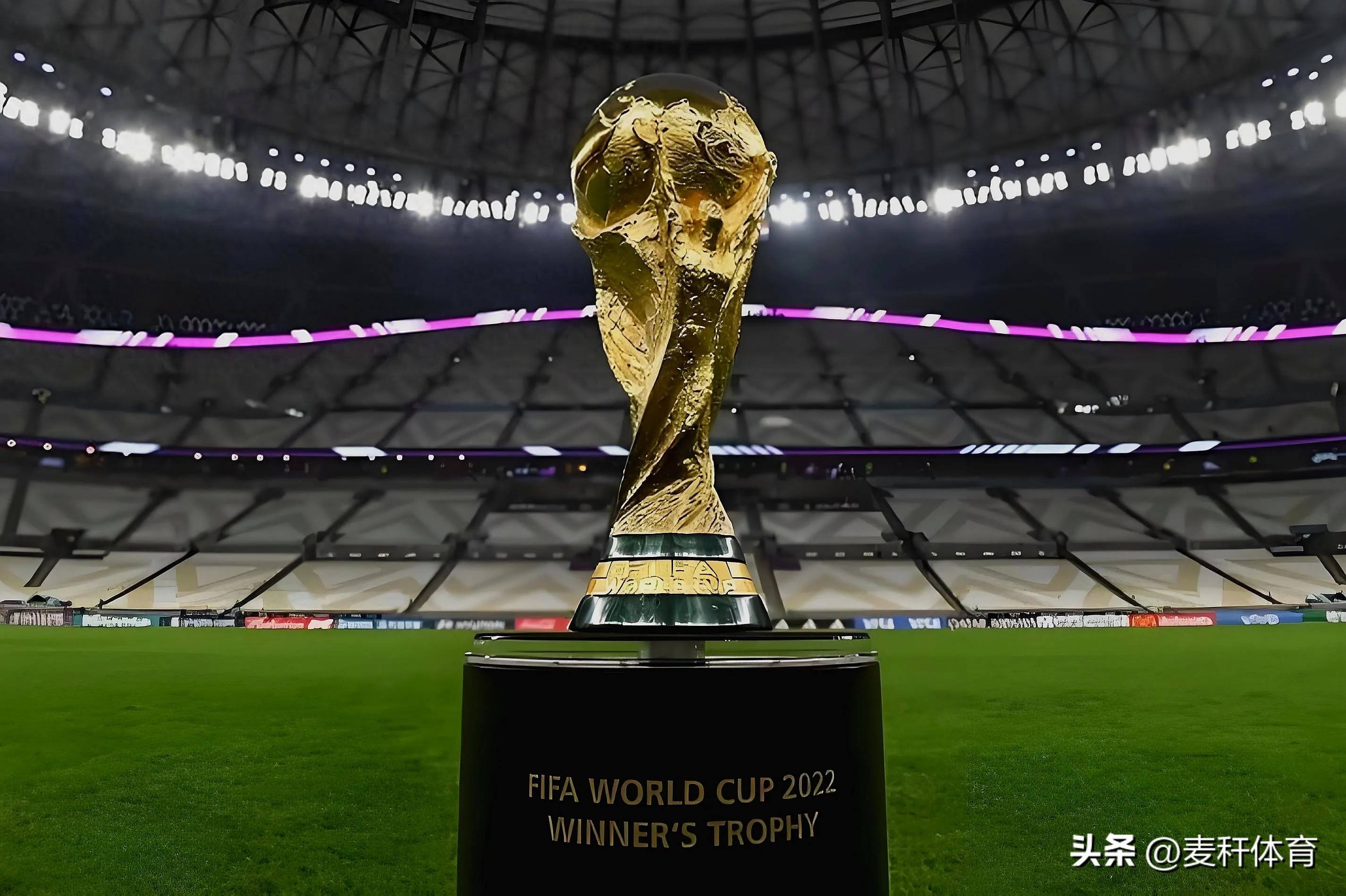 他不仅改变 他不仅改变