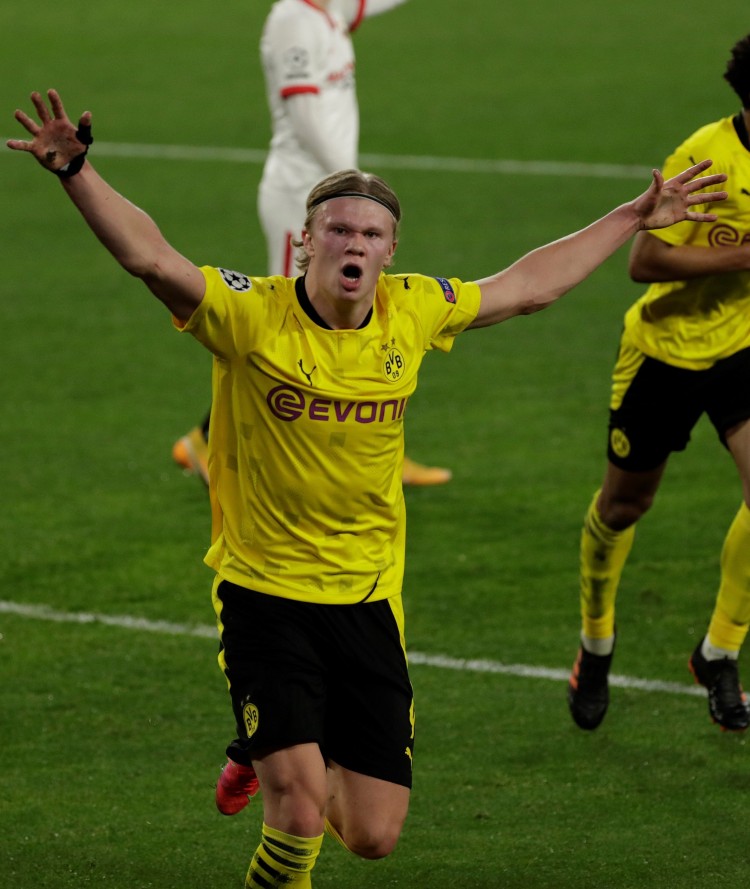 季过往样本 季过往样本