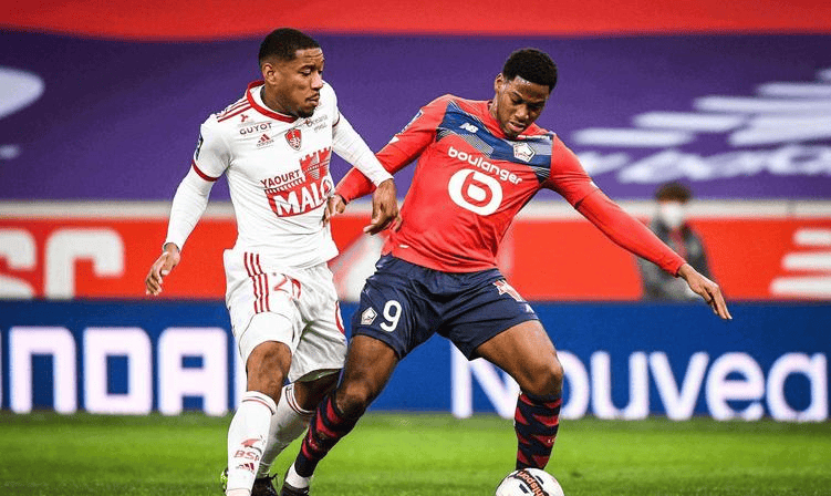 在公告中所 在公告中所